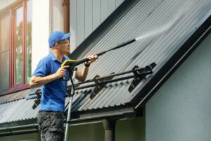 Roof Cleaning Northern Suburbs