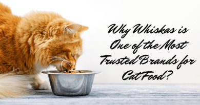 Why Whiskas is One of the Most Trusted Brands for Cat Food
