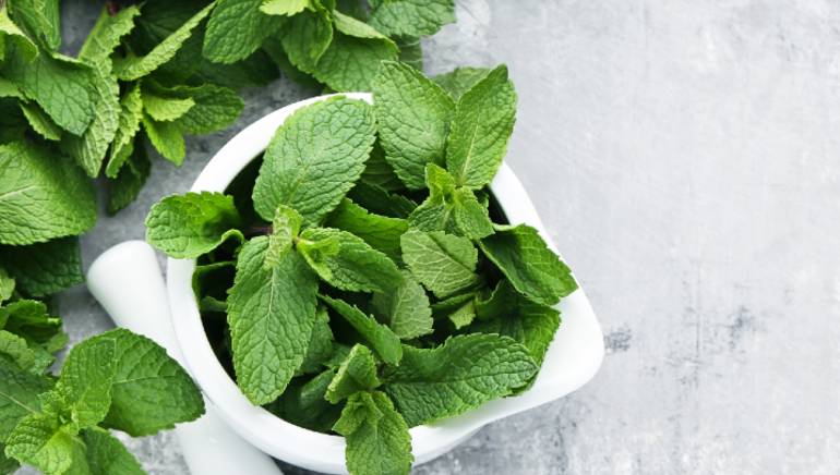 Do mint leaves have any health benefits?