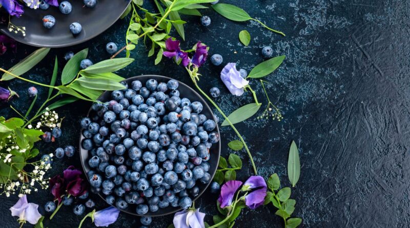 Blueberries: Uses, Advantages, and Incidental Effects