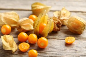 Leaf Ground Cherry