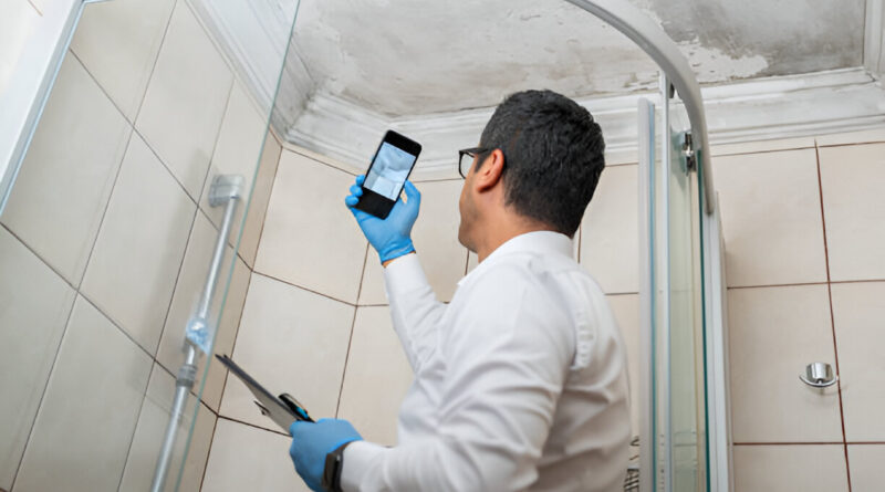 Innovative Technologies for Mold Detection: How They Can Protect Your Home