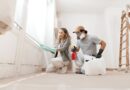 Preventing Mold Growth: Essential Mold Removal Tips for Homeowners