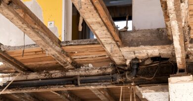 Water Damage Restoration: From Wet to Worry-Free