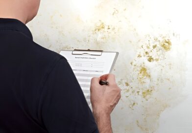 What to Expect During a Professional Mold Inspection and Remediation Process