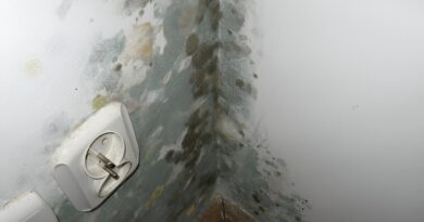The Silent Invader: How Mold Detection Prevents Long-Term Property Damage