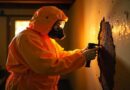 Beyond the Surface: How Professional Mold Remediation Protects Your NJ Property Value