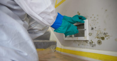 How Hackensack Businesses Benefit from Professional Mold Remediation Services