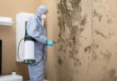 Expert Mold Remediation in New Brunswick NJ: What Sets the Pros Apart
