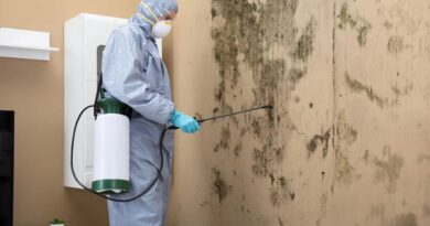 Expert Mold Remediation in New Brunswick NJ: What Sets the Pros Apart