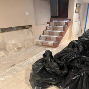 Mold Detection Elizabeth NJ