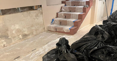 Mold Detection Elizabeth NJ