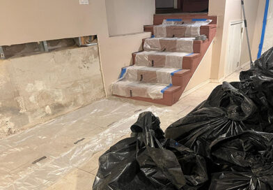 Mold Detection Elizabeth NJ