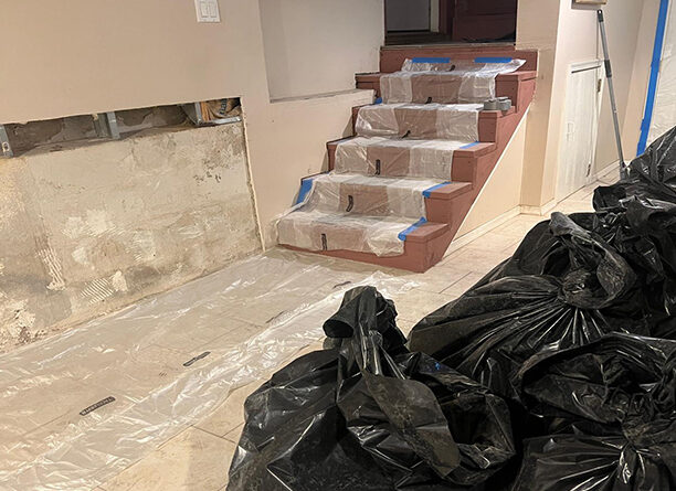 Mold Detection Elizabeth NJ