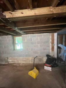 Mold Sampling Hackensack Nj