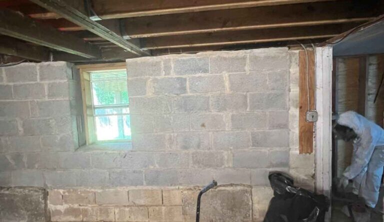 Mold Sampling Hackensack Nj