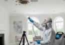 The Ultimate Guide to Mold Testing, Removal, and Remediation for Homeowners