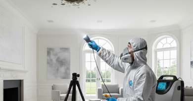 The Ultimate Guide to Mold Testing, Removal, and Remediation for Homeowners