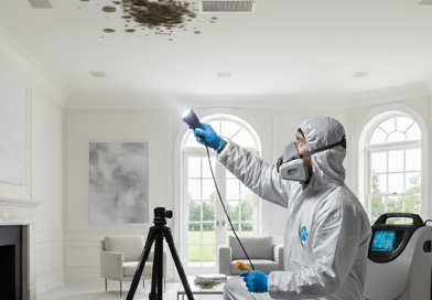 The Ultimate Guide to Mold Testing, Removal, and Remediation for Homeowners The Ultimate Guide to Mold Testing, Removal, and Remediation for Homeowners